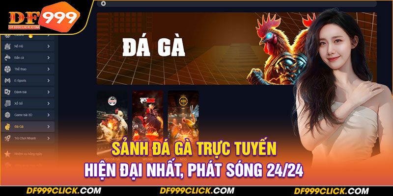 Sảnh Đá gà trực tuyến hiện đại nhất, phát sóng 24/24