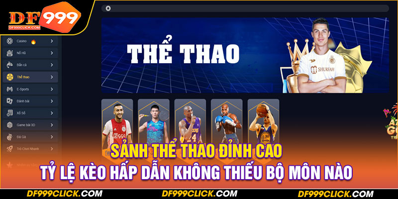 Sảnh thể thao đỉnh cao, tỷ lệ kèo hấp dẫn không thiếu bộ môn nào